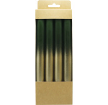 Vier Stabkerzen mit Farbverlauf von Dunkelgrün zu Gold in einer Kartonverpackung.