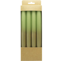 Vier gerippte grüne Stabkerzen mit Farbverlauf in einer Kartonverpackung.
