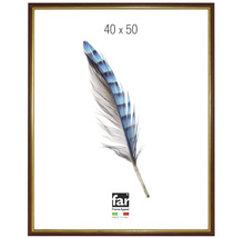 Cadre photo en bois brun foncé avec bordure dorée, dimensions 40 par 50 centimètres, Far Frame Appeal Logo.