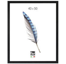 Cadre photo noir, format 40 par 50 centimètres, avec motif plume sur l'insert et far Frame Appeal Logo.