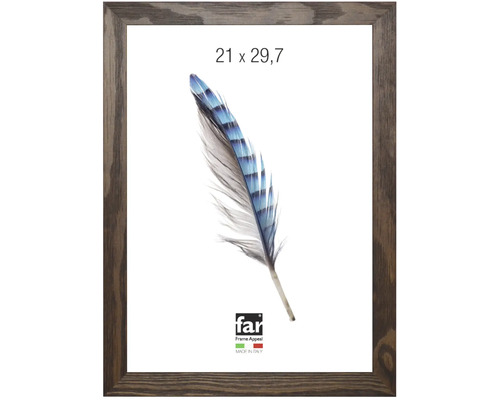 Cadre photo sombre aspect bois 21 sur 29,7 centimètres avec motif plume far Frame Appeal Logo.