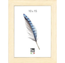 Bilderrahmen aus hellem Holz von far Frame Appeal, hergestellt in Italien, Grösse 10 mal 15 Zentimeter, mit Feder-Motiv.
