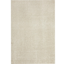 Rechteckiger Hochflor-Teppich mit weicher Oberfläche.