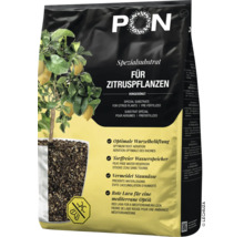 Substrat spécial Lechuza PON pour agrumes, pré-fertilisé, sans tourbe et avec lave rouge, sac avec image d'un citronnier.