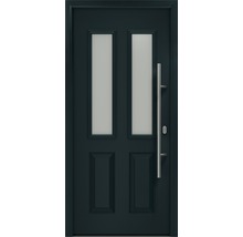 Porte d''entrée avec deux fenêtres et une poignée