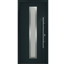Porte d''entrée avec insert en verre et poignée