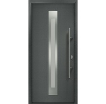 Porte d''entrée avec insert en verre et poignée