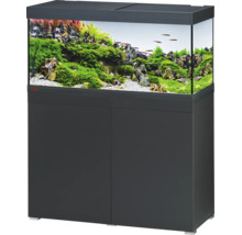 Aquarium-Kombination mit Unterschrank in Anthrazit, dekorierter Innenraum mit Wasserpflanzen und Felsen.