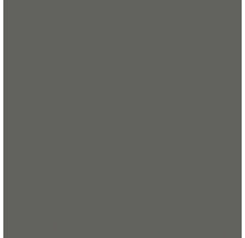 Échantillon de couleur en gris