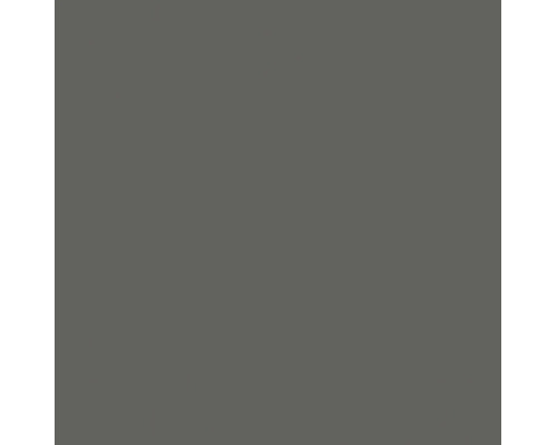 Échantillon de couleur en gris