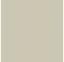 Échantillon de couleur beige