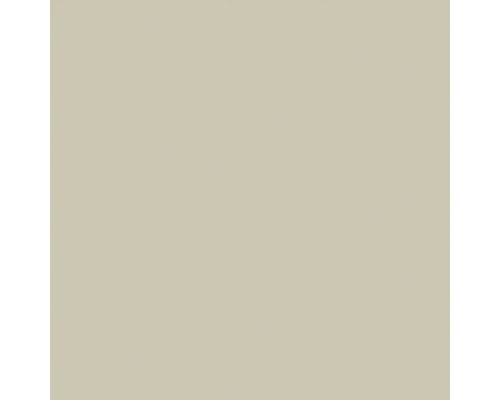 Échantillon de couleur beige