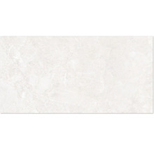 Carrelage mural ou de sol aspect marbre avec veinage discret.