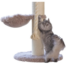 Graue Langhaarkatze kratzt an einem Kratzbaum aus Sisal mit Liegemulde aus Plüsch und dickem Spielseil.