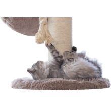 Graue Katze liegt auf dem Rücken an einem Kratzbaum aus Sisal und Plüsch mit Spieltau.
