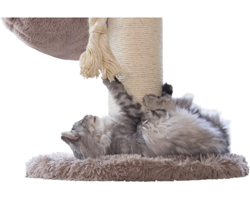 Graue Katze liegt auf dem Rücken an einem Kratzbaum aus Sisal und Plüsch mit Spieltau.
