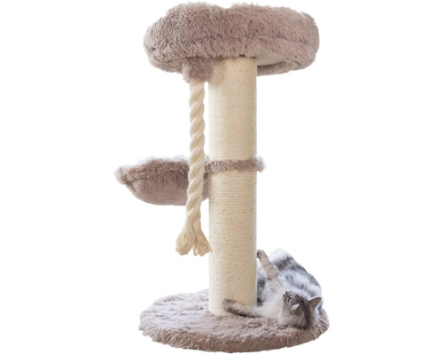 Kratzbaum mit Sisalstamm, Plüsch-Liegeflächen, Spieltau und einer Katze auf der Bodenplatte.