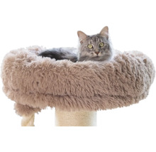 Graue Katze in einem flauschigen Plüschkorb auf einem Kratzbaum mit Sisalseil.