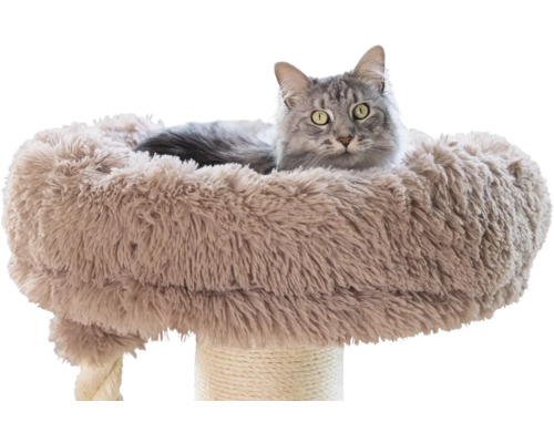 Graue Katze in einem flauschigen Plüschkorb auf einem Kratzbaum mit Sisalseil.