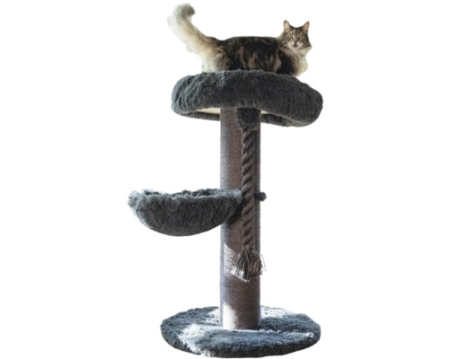 Kratzbaum mit Liegefläche, Hängematte, Spieltau und Sisalstamm, auf dem eine Katze sitzt.