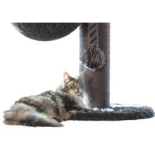 Flauschige Katze liegt auf der Bodenplatte eines Kratzbaums mit Sisalstamm und dickem Spieltau.