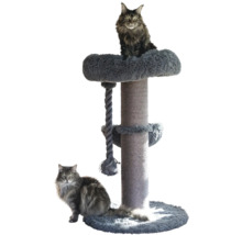 Kratzbaum mit Sisalstamm, oberer Liegemulde aus Plüsch und Spieltau, dargestellt mit zwei Katzen.
