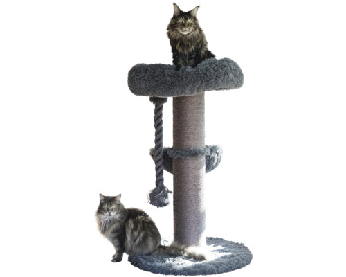 Kratzbaum mit Sisalstamm, oberer Liegemulde aus Plüsch und Spieltau, dargestellt mit zwei Katzen.