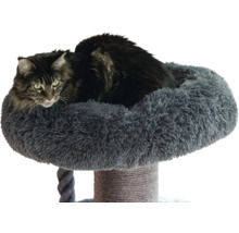 Kratzbaum mit flauschigem grauem Liegeplatz und einer dunklen Katze