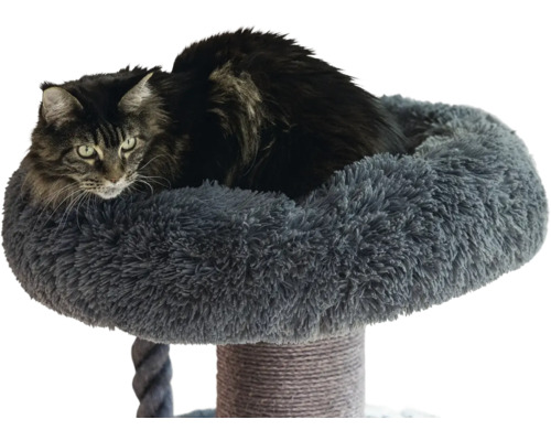 Kratzbaum mit flauschigem grauem Liegeplatz und einer dunklen Katze