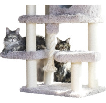 Kratzbaum mit zwei Katzen, mehreren Ebenen, Sisalstämmen, Plüschbezug und Spielseil.