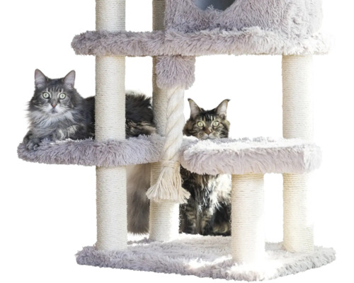 Kratzbaum mit zwei Katzen, mehreren Ebenen, Sisalstämmen, Plüschbezug und Spielseil.