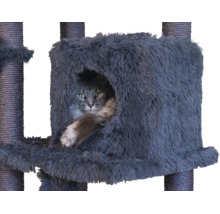 Katze in einer weichen Höhle eines Kratzbaums mit Kratzstämmen aus Sisal.