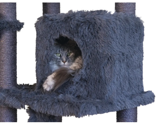 Katze in einer weichen Höhle eines Kratzbaums mit Kratzstämmen aus Sisal.