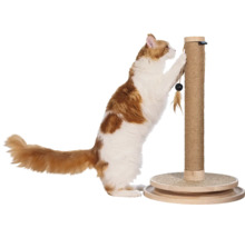 Eine Katze kratzt an einem Kratzstamm mit Sisalwicklung und runder Bodenplatte.
