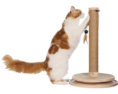 Eine Katze kratzt an einem Kratzstamm mit Sisalwicklung und runder Bodenplatte.