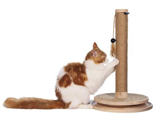 Katzenkratzbaum mit Sisalseil, Holzbasis und Spielzeugfeder, benutzt von einer Katze.