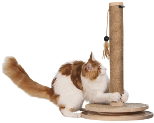 Katze kratzt an einem Kratzstamm aus Sisal mit runder Holzbasis und hängendem Spielzeug.