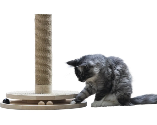 Kratzstamm mit Sisalseil und runder Spielschiene aus Holz mit Kugeln, an der eine grau-weiße Katze spielt.