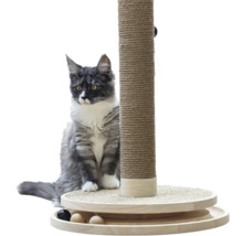 Kratzstamm aus Sisal und Holz mit integriertem Kugelspielzeug und einer grau-weißen Katze.