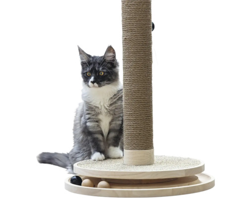 Kratzstamm aus Sisal und Holz mit integriertem Kugelspielzeug und einer grau-weißen Katze.