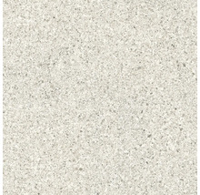 Feinsteinzeugfliese in Terrazzo-Optik mit feiner Körnung.