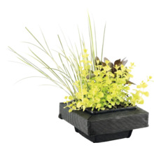 Îlot végétal flottant pour bassin avec diverses plantes aquatiques et graminées dans un panier en tissu noir.