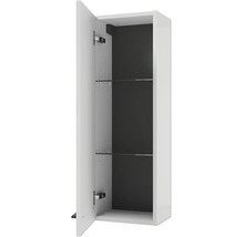 Hängeschrank für das Badezimmer mit geöffneter Tür, zwei Glaseinlegeböden, weißem Korpus und dunkler Rückwand.