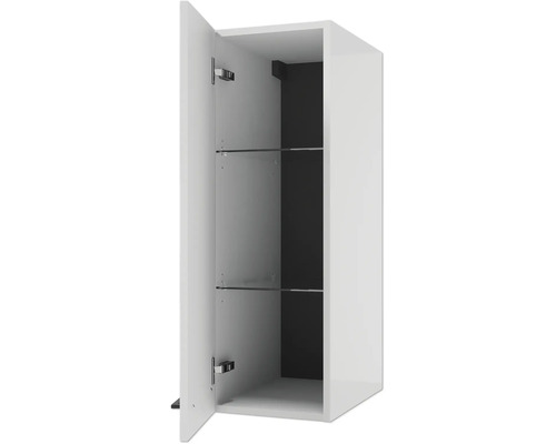Wandhängender Badezimmerschrank mit geöffneter Tür, zwei Glaseinlegeböden und dunkler Rückwand.