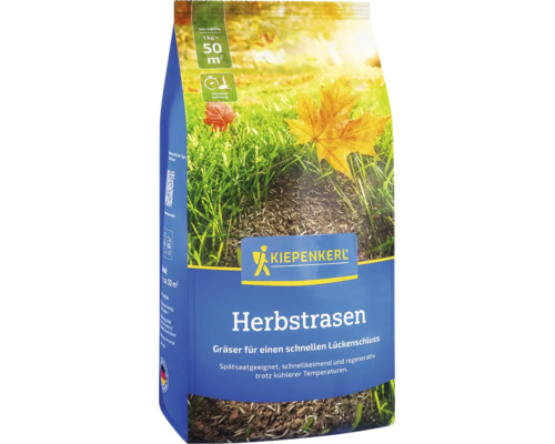 Kiepenkerl Herbstrasen Rasensamen für circa 50 Quadratmeter, schnellkeimend bei kühlen Temperaturen zum Schließen von Lücken im Herbst.
