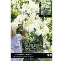 Lys robuste Lilium Pretty Woman blanc, deux bulbes, hauteur de croissance jusqu'à 150 centimètres, floraison de juillet à septembre, Florex Logo.