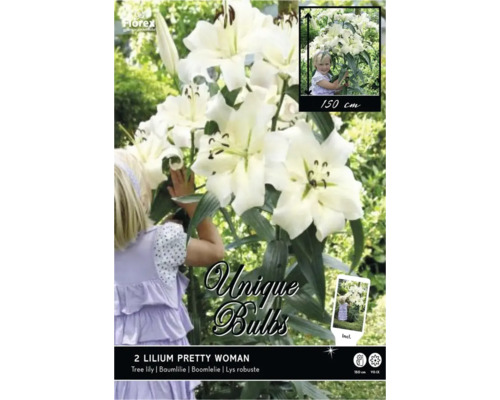 Lys robuste Lilium Pretty Woman blanc, deux bulbes, hauteur de croissance jusqu'à 150 centimètres, floraison de juillet à septembre, Florex Logo.