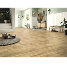 Sol stratifié clair aspect bois dans un hall spacieux avec lambris blancs, murs verts, banc en bois et plantes d intérieur.
