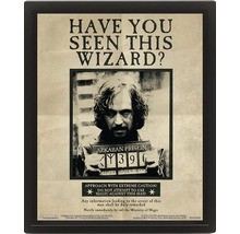 Affiche Harry Potter Sirius Black Have You Seen This Wizard avec cadre noir