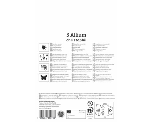 Verso de l'emballage de 5 bulbes d'Allium christophii avec informations sur l'exposition, la croissance, les pots, les insectes et les certificats.